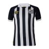Camisolas Santos FC 2023-24 2º Equipamento Alternativa Manga Curta